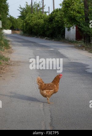 Chicken road online, chicken road oficial